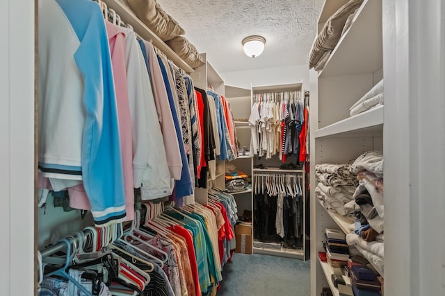 spacious closet featuring carpet