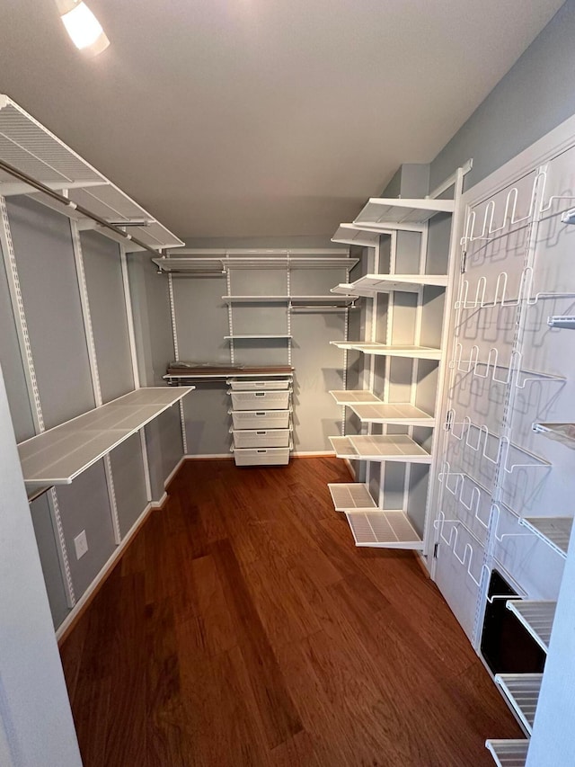 spacious closet featuring wood-type flooring