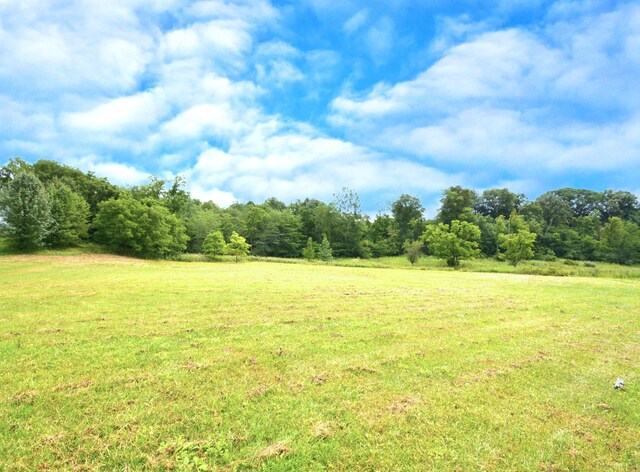 250 S Main St, Mount Gilead, OH 43338 - photo 7