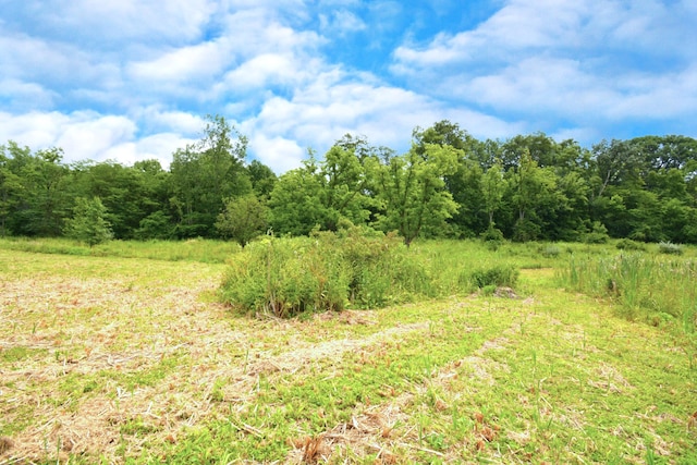 250 S Main St, Mount Gilead, OH 43338 - photo 11