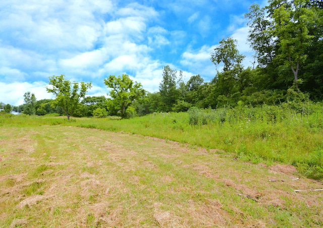 250 S Main St, Mount Gilead, OH 43338 - photo 14