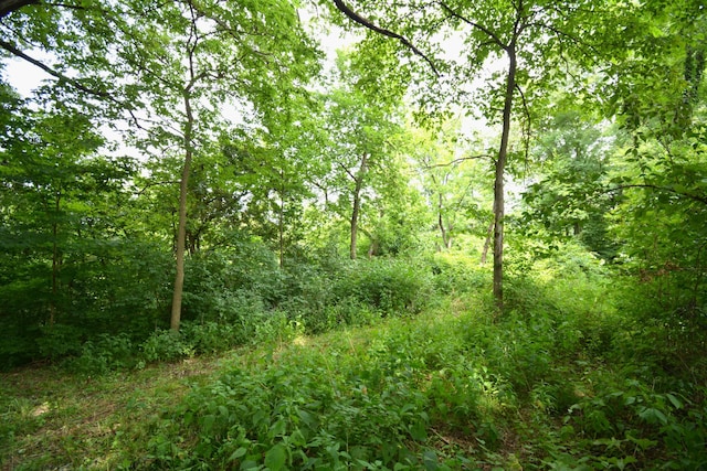 250 S Main St, Mount Gilead, OH 43338 - photo 17