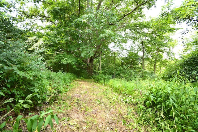 250 S Main St, Mount Gilead, OH 43338 - photo 18