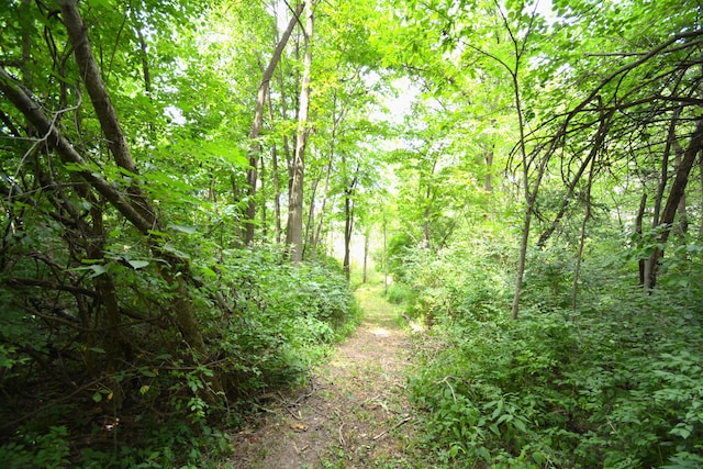250 S Main St, Mount Gilead, OH 43338 - photo 19