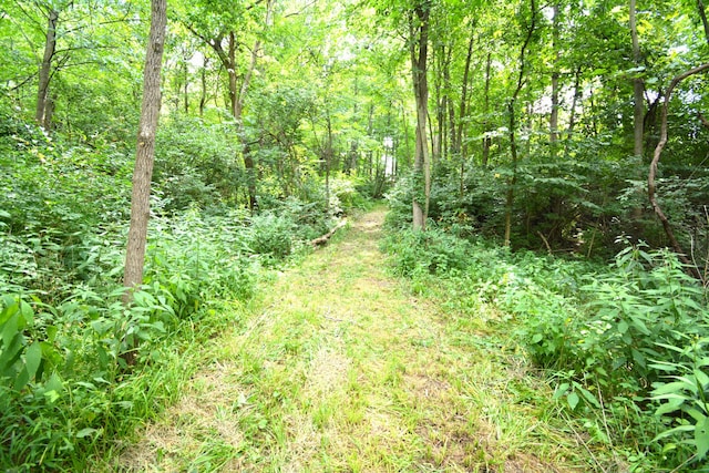 250 S Main St, Mount Gilead, OH 43338 - photo 10