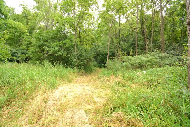 250 S Main St, Mount Gilead, OH 43338 - photo 21
