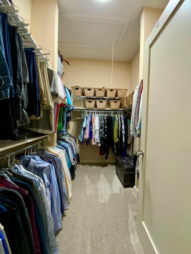 walk in closet with light colored carpet