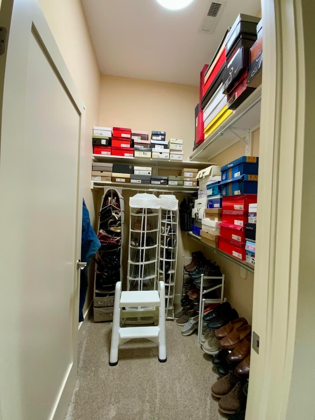 spacious closet with carpet