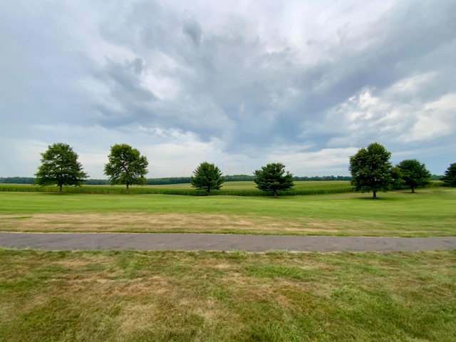 view of property's community featuring a yard