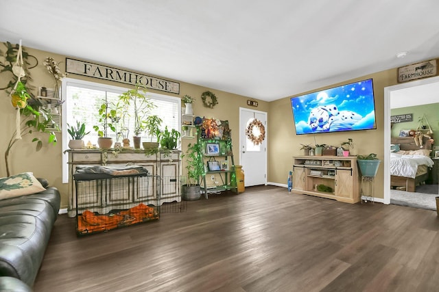 living room featuring dark hardwood / wood-style flooring