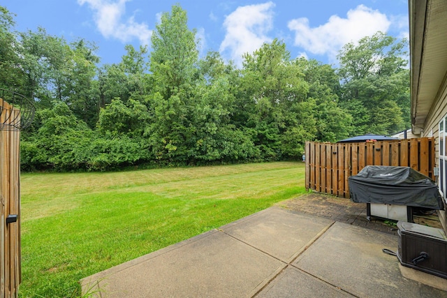 view of yard featuring a patio