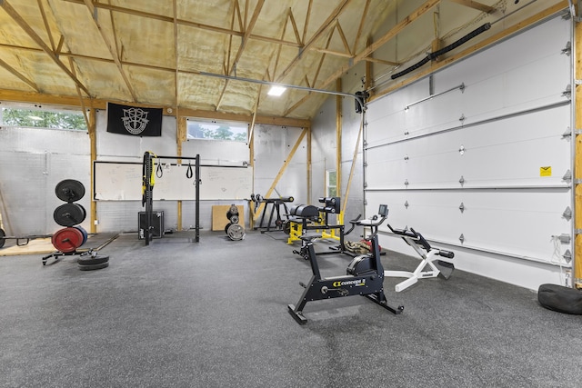 workout room featuring a wealth of natural light