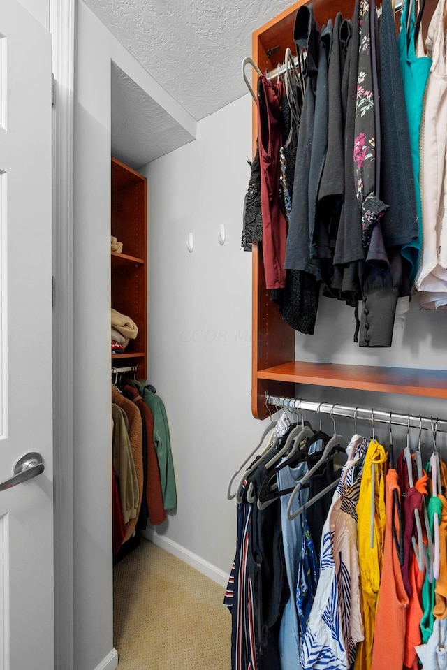 spacious closet with carpet