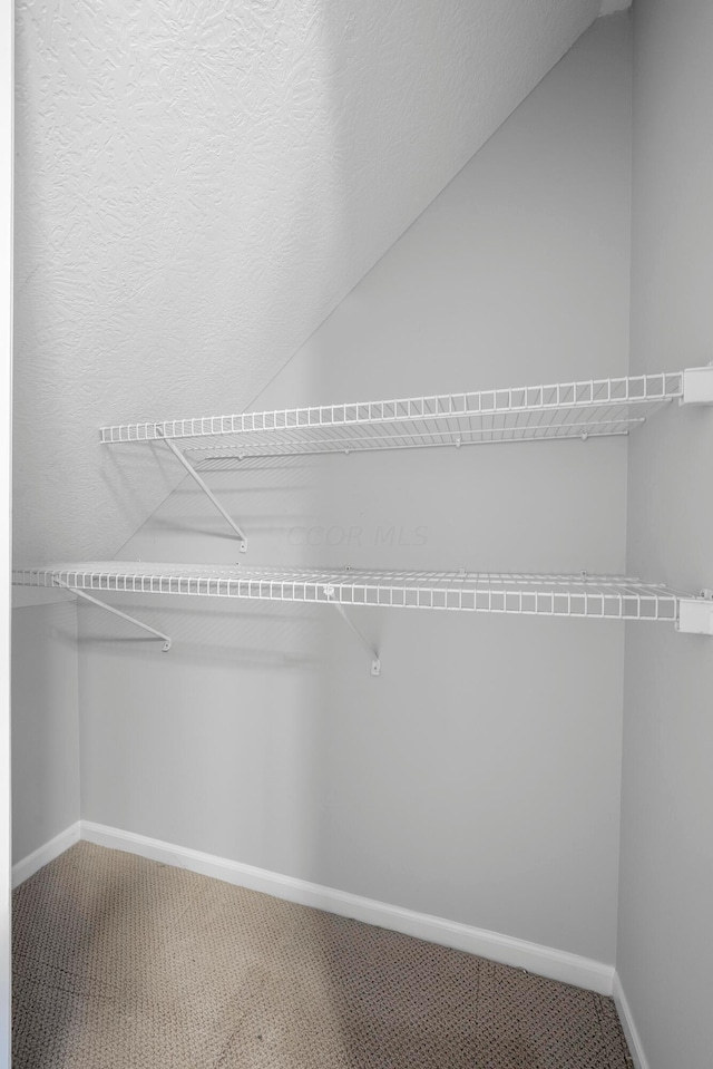 walk in closet featuring carpet flooring