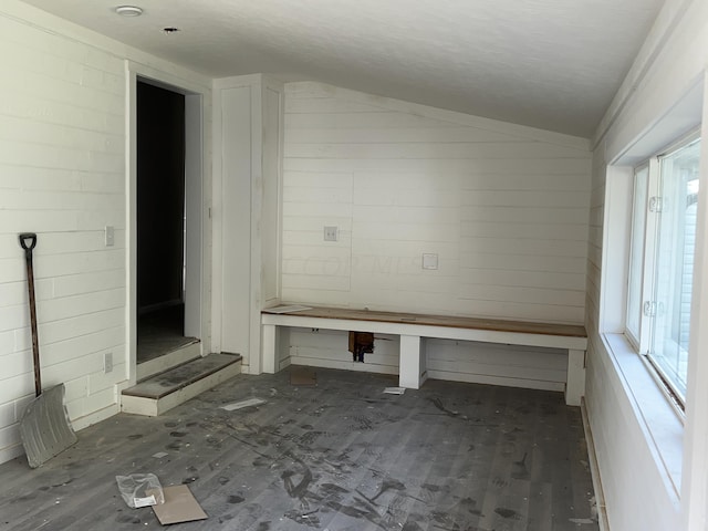 mudroom featuring vaulted ceiling and dark wood-type flooring