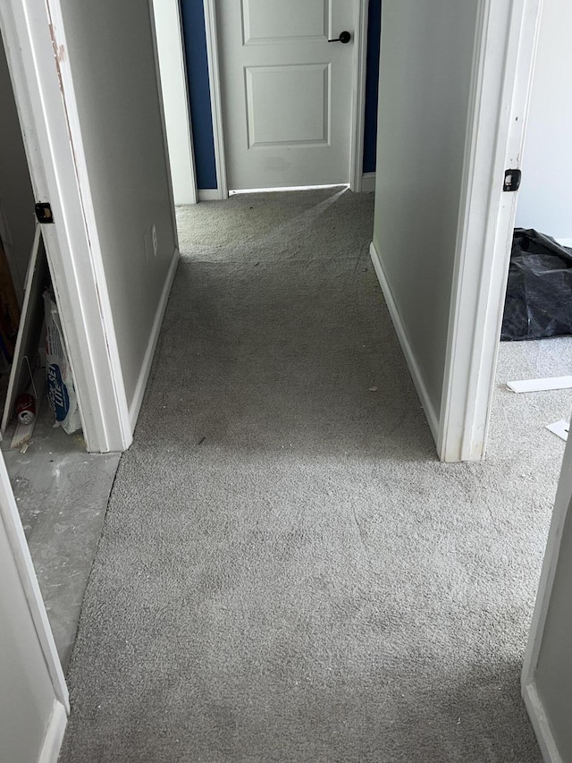 hallway featuring carpet flooring