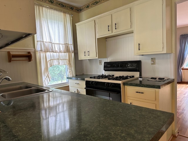 kitchen with sink, hardwood / wood-style floors, and white gas range oven