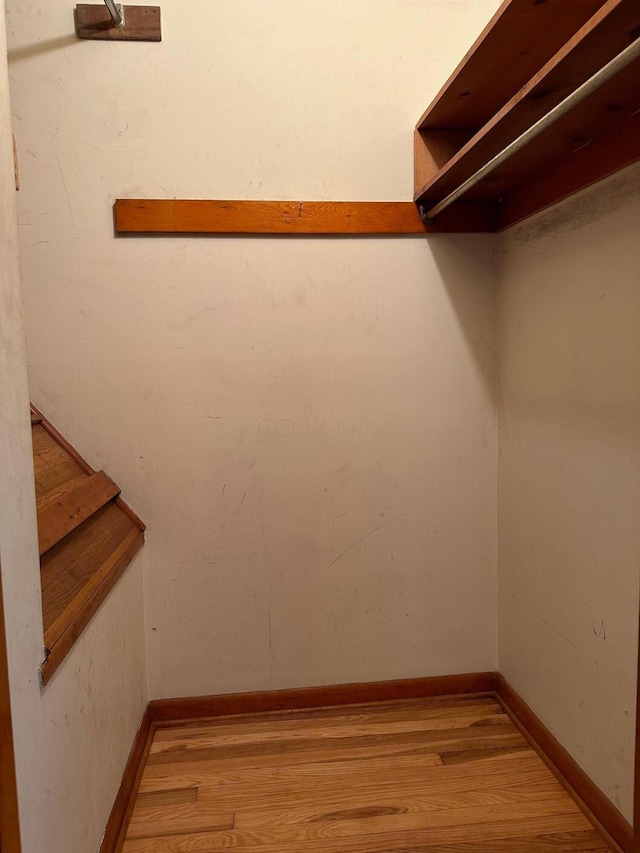 spacious closet featuring light wood-type flooring