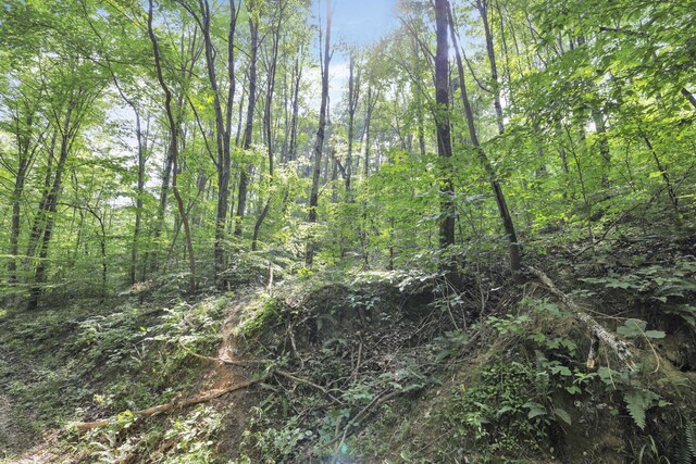 0 Thad Hall Rd, Laurelville, OH 43135