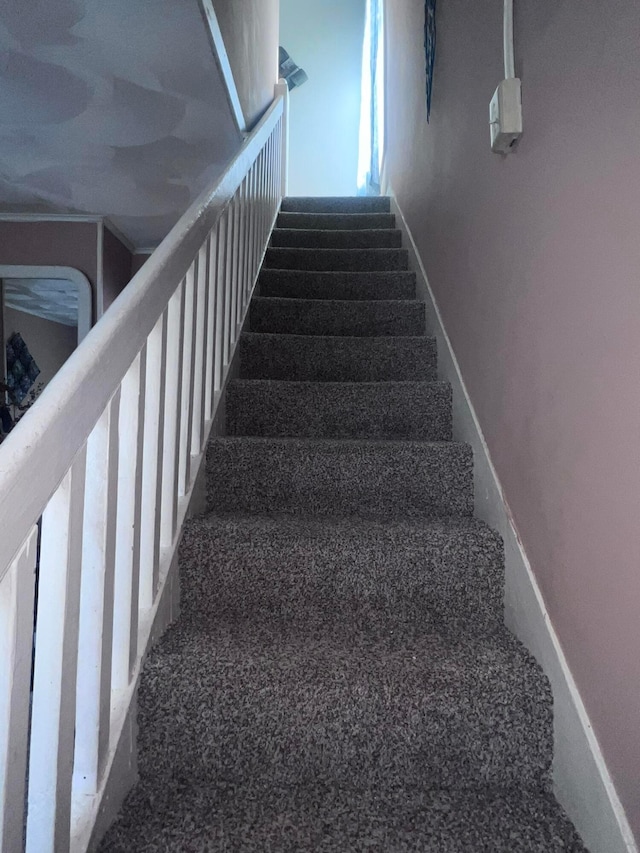 stairs featuring carpet floors