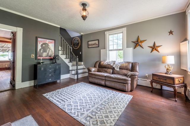 living room featuring crown molding, dark wood-type flooring, and a textured ceiling