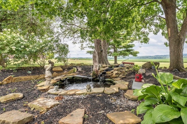 view of yard with a rural view