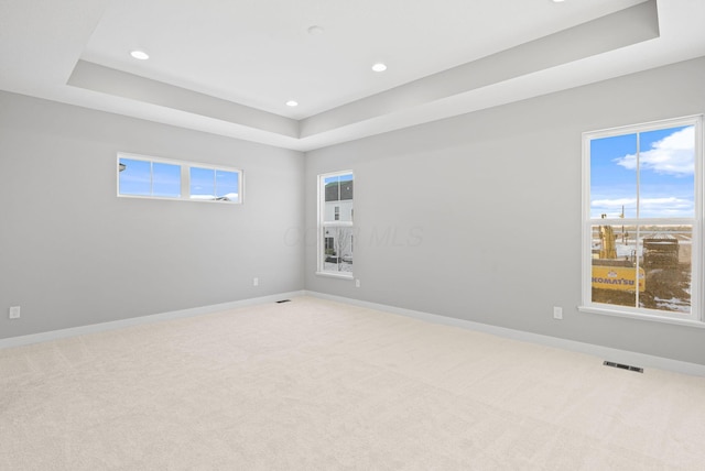 unfurnished room with light colored carpet and a tray ceiling