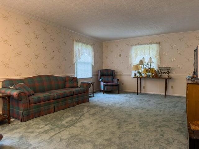 interior space with carpet flooring, crown molding, and a textured ceiling