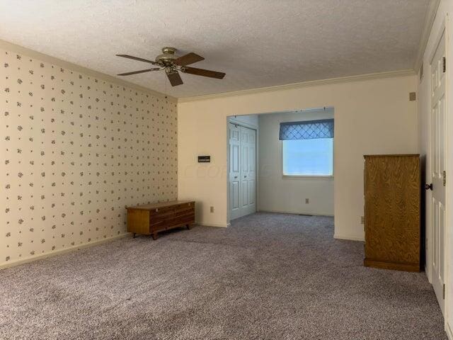 carpeted empty room with crown molding, ceiling fan, and a textured ceiling