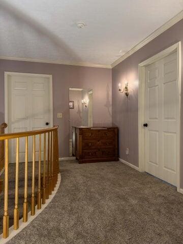 unfurnished bedroom featuring carpet and crown molding