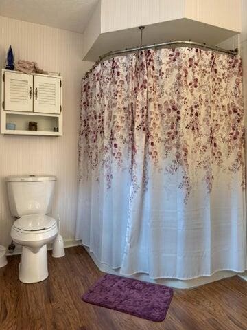 bathroom with toilet and wood-type flooring