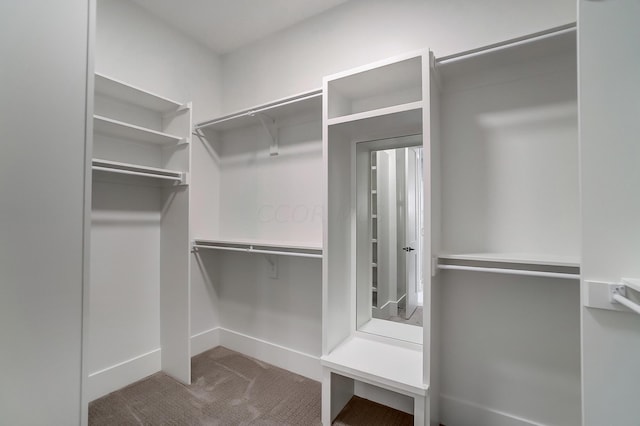 walk in closet featuring carpet flooring