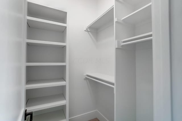 view of walk in closet