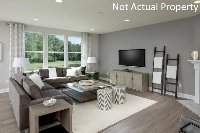 living room featuring light hardwood / wood-style floors