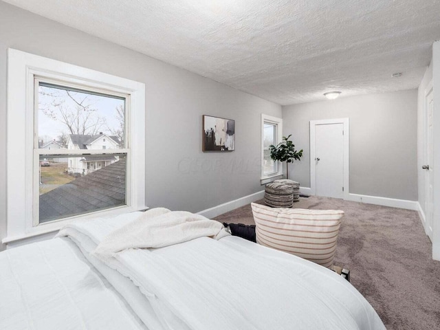 bedroom featuring carpet flooring, a textured ceiling, and multiple windows