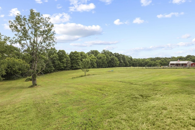 view of yard featuring a rural view