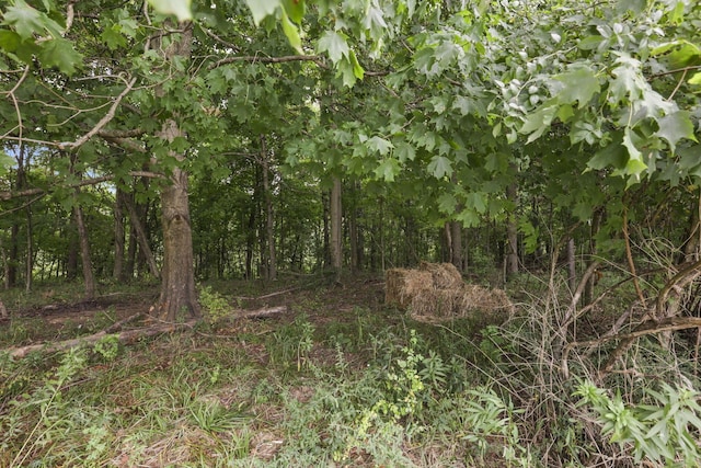 view of landscape