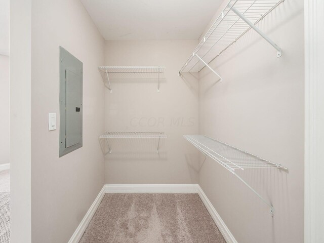 50 W Broad St Unit 2905, Columbus, OH 43215 - spacious closet with electric panel and carpet flooring