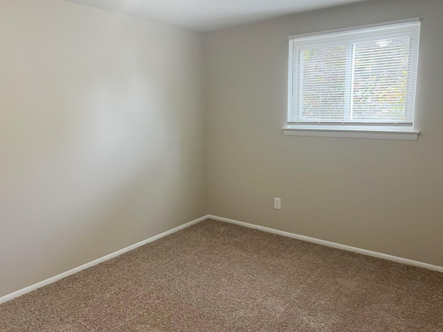 spare room featuring carpet flooring