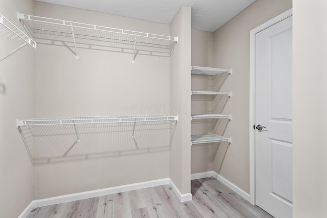 walk in closet with light hardwood / wood-style flooring