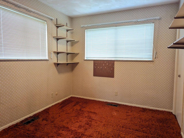 unfurnished room with carpet floors