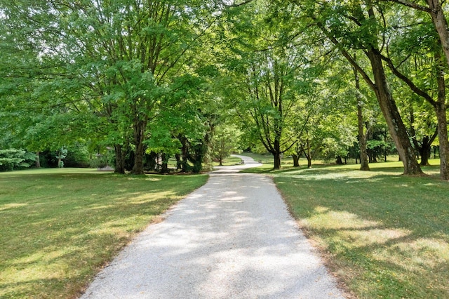 view of home's community featuring a lawn