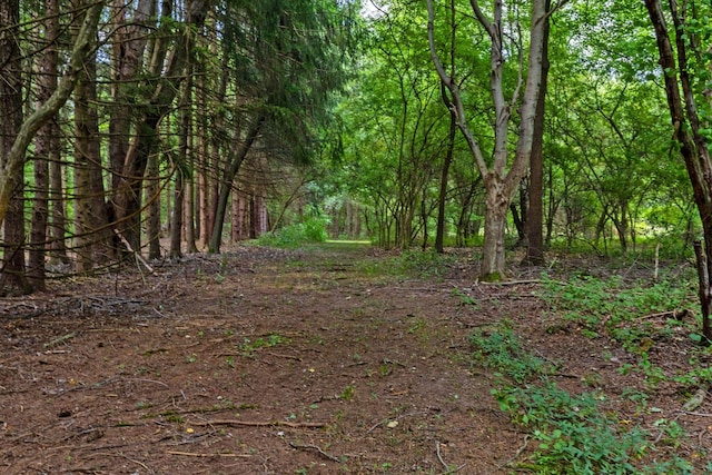 view of landscape