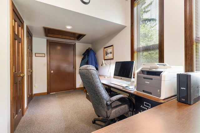 view of carpeted office space