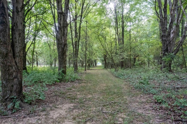 view of landscape