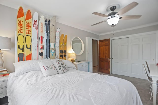 bedroom with dark colored carpet, a closet, ceiling fan, and ornamental molding