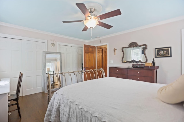 bedroom featuring ceiling fan, dark hardwood / wood-style flooring, two closets, and ornamental molding