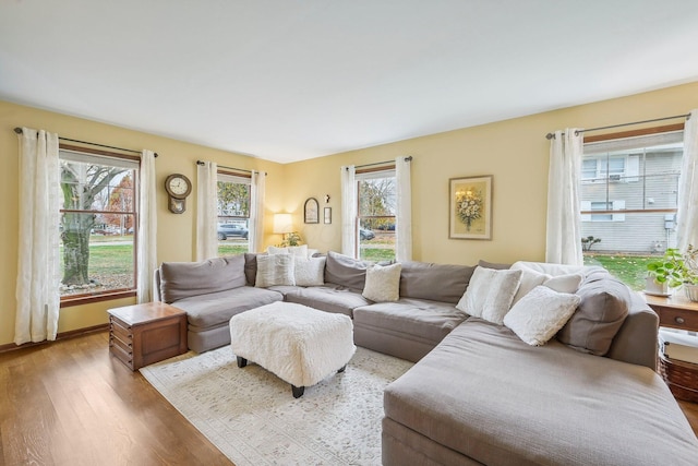 living room with a wealth of natural light and light hardwood / wood-style floors