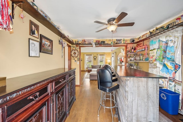 bar featuring ceiling fan and light hardwood / wood-style flooring