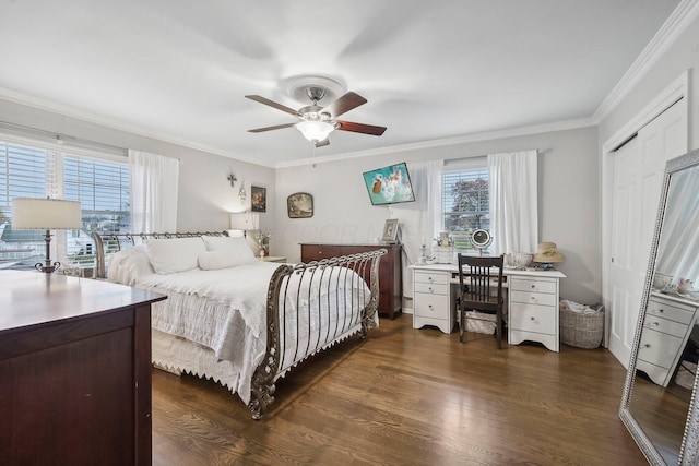 bedroom with dark hardwood / wood-style flooring, a closet, ceiling fan, and crown molding